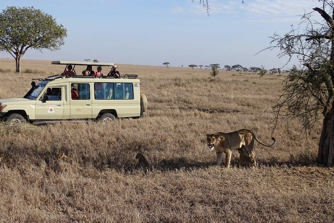 3 days group joining safari to Maasai Mara with a Land Cruiser Jeep - The camp experience: practical rather than polished