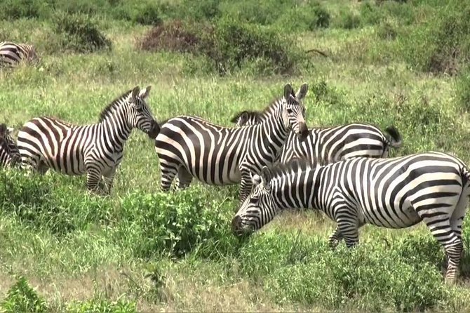 3 days group joining safari to Maasai Mara with a Land Cruiser Jeep - Day one: The Great Rift Valley and a first Mara game drive
