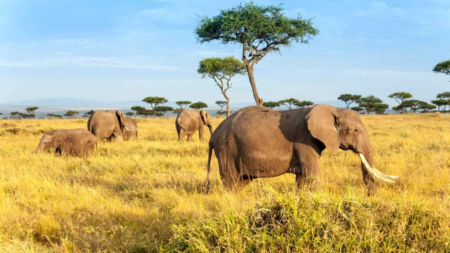 3 days group safari to maasai mara with a 4x4 landcruiser - Leaving Nairobi for the Great Rift Valley