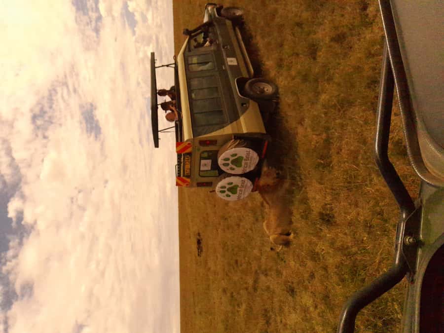 3 Days Maasai Mara Group Safari using a 4x4 Landcruiser - The tented camp: simple, ensuite, and practical