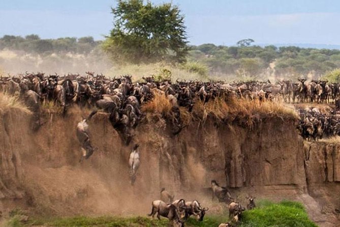 3 Days Maasai Mara Guided Safari from Nairobi - Day one: Nairobi, the Rift Valley, and your first Mara drive