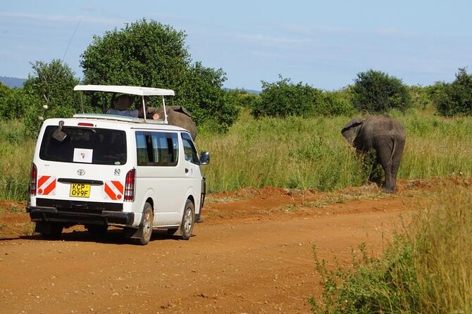 3 Days Maasai Mara Guided Safari from Nairobi - Day two: the Mara River and a full day among the animals