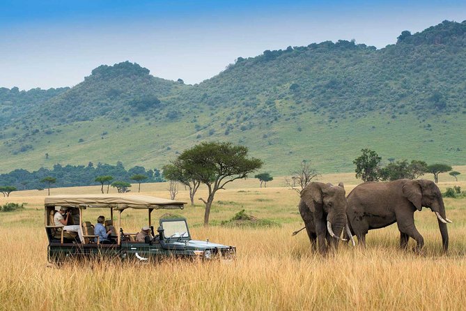 3 days Maasai Mara Luxury Safari - Keekorok Lodge: more than a place to sleep