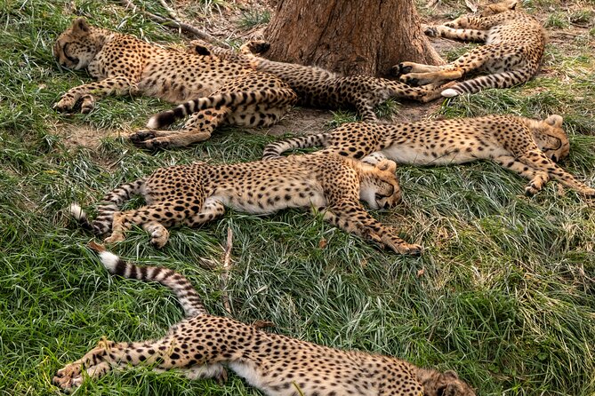 3 days maasai mara migration safari - Day one: from Nairobi to the Great Rift Valley
