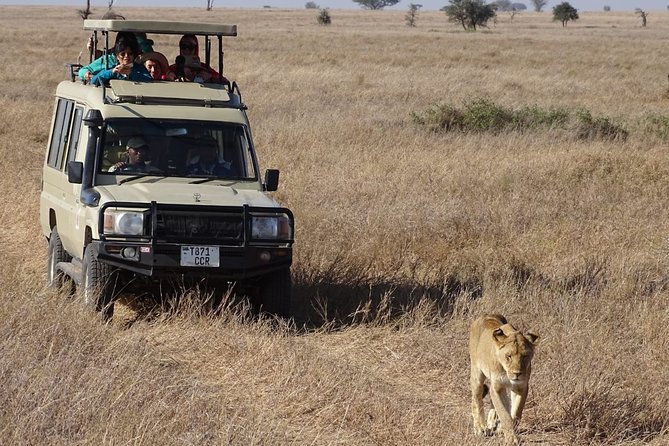3 Days Maasai Mara Small Group Safari in a 4 x4 Land Cruiser Jeep - Key points at a glance