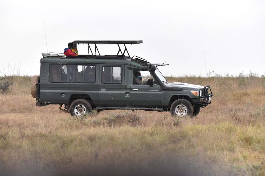 3 Days Maasai Mara Small Group Safari- Jambo Mara Lodge - Your first Mara sightings on the evening drive