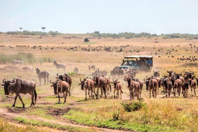 3 Days Mara Jambo Shared Safari Adventure - What the $962 price includes