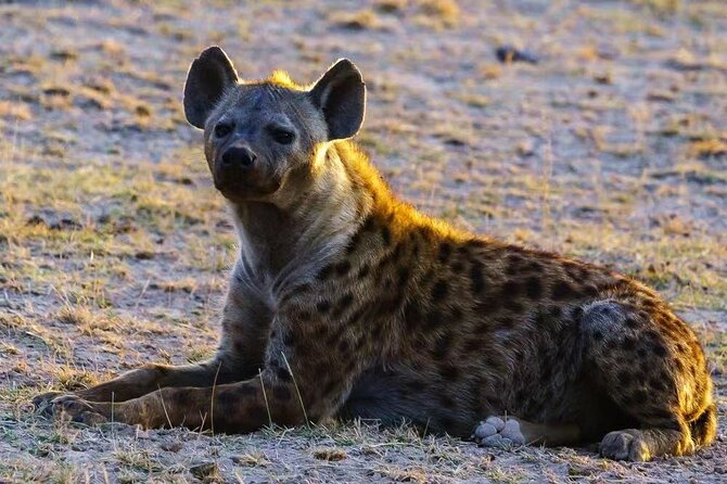 3-Days Masai Mara 4 x 4 Safari from Nairobi - What the $1,358.11 price covers