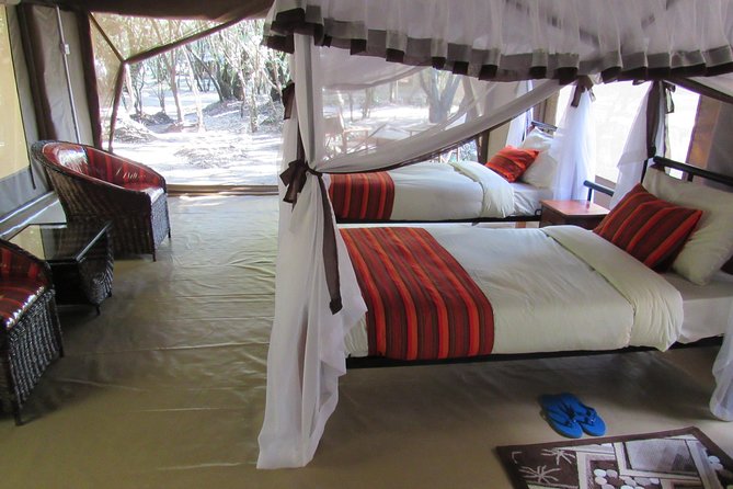 3 Days Masai Mara Budget Safari - The guide can shape the whole experience
