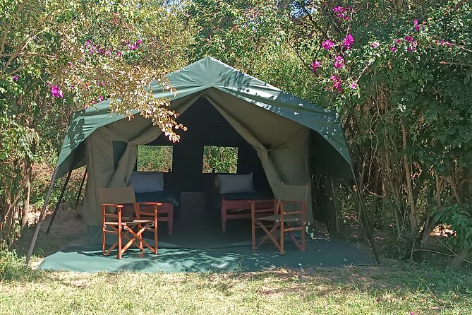 3 Days Masai Mara Camping Safari - The 6:30 a.m. search for predators