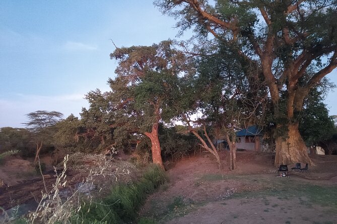 3 Days Masai Mara Camping Safari - From Nairobi through the Great Rift Valley