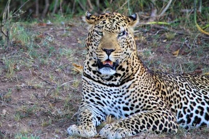3 Days Masai Mara Flight Safari - Who will get the most from this trip