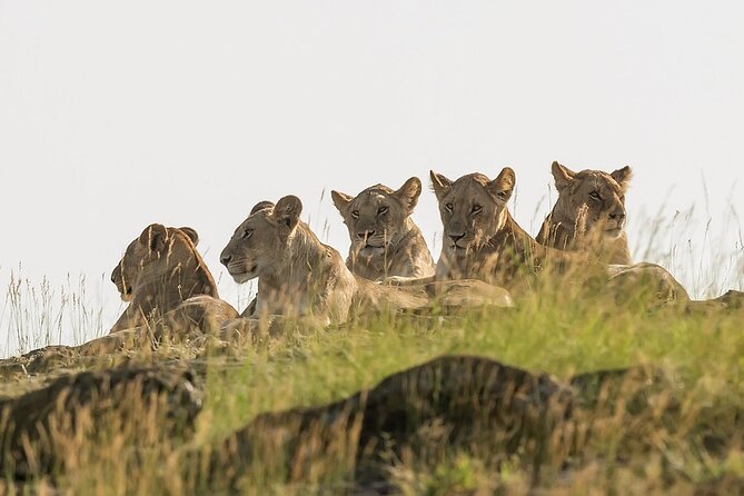 3 days Masai Mara on Private 4x4 Land Cruiser - The long road from Nairobi to the Mara