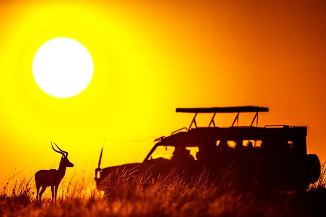 3 days Masai Mara on Private 4x4 Land Cruiser - The guides make the biggest difference