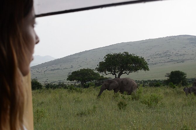3 days Masai Mara on Private 4x4 Land Cruiser - Who will enjoy this three-day safari