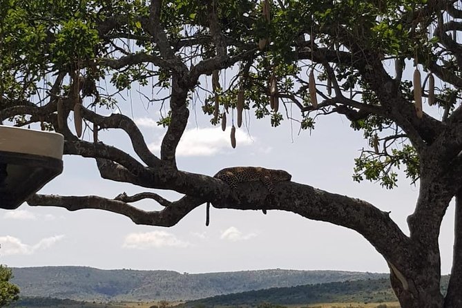 3 Days Masai Mara Safari Group Joining (Daily Departures) - What to pack for the long road and game drives
