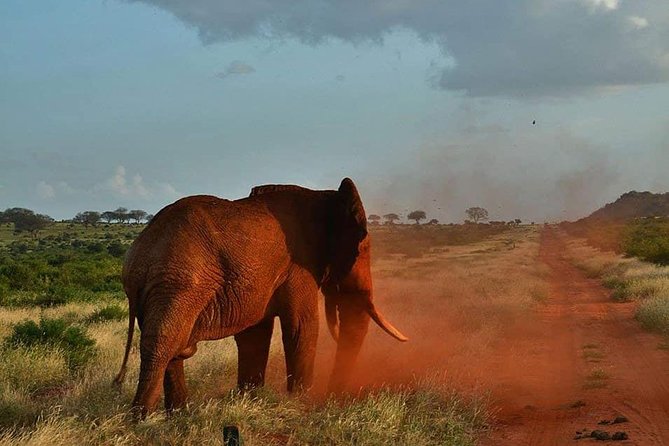 3 days safari Tsavo East and Taita hills (Saltlick lodge) - Saltlick Lodge and the Taita Hills afternoon