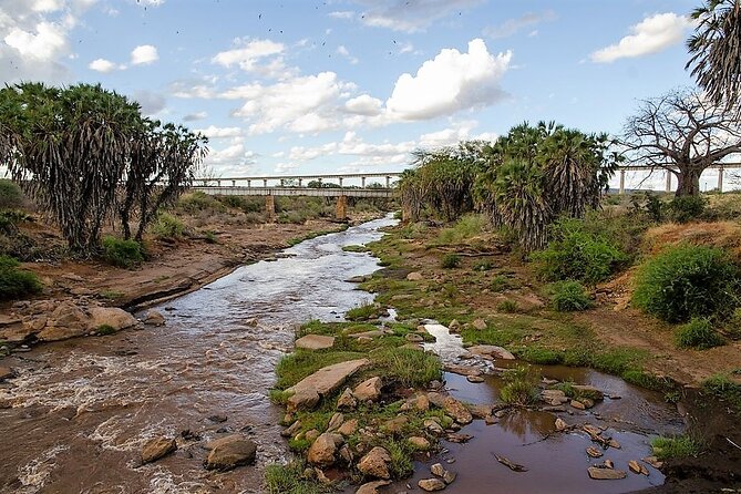 3 Days Tsavo East & Amboseli (2 Nights) - Day 3: A final game drive and the road back to Mombasa