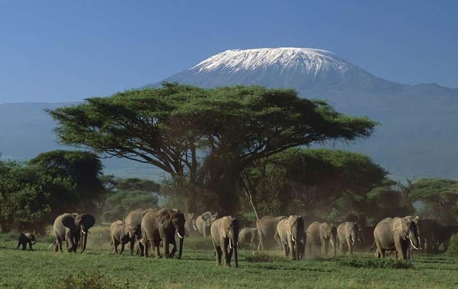 3 days Tsavo East and Amboseli safari from Diani/Mombasa - Day 1: From Diani or Mombasa to Tsavo East