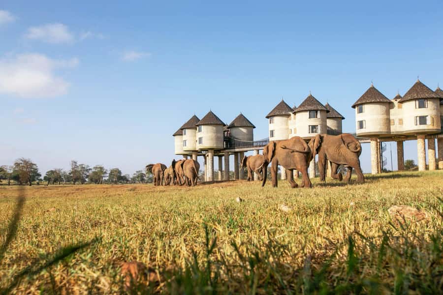 3 days Tsavo East and Saltlick safari from Diani/Mombasa - Key points to know before you book