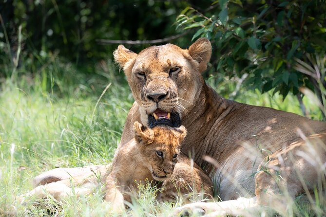 3 Days Tsavo East & Tsavo West Safari - Key points to know before you book