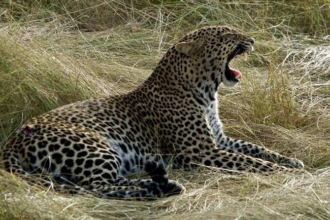 3days/2nights group joining Masai Mara with Masai Village Visit - Transport, group size, and daily comfort