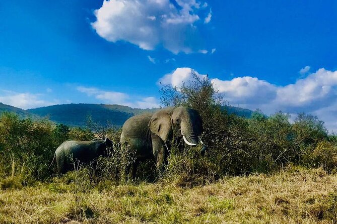 3days/2nights group joining Masai Mara with Masai Village Visit - Who will get the most from this safari