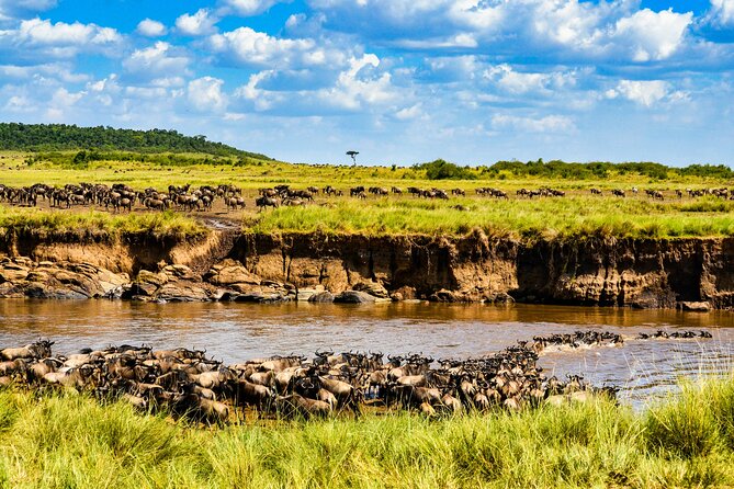 3days/2nights group joining Masai Mara with Masai Village Visit - Leaving Nairobi for the Masai Mara