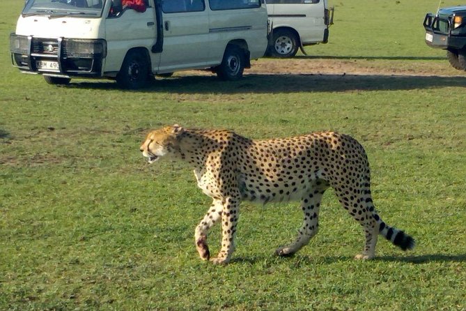 3Days 2nights Masai Mara group joining safari - Key points at a glance