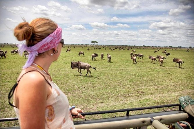 4 Day Masai Mara & Lake Nakuru Group Joining Camping Safari - Daily Departures - Day 4: Rhinos and flamingos at Lake Nakuru