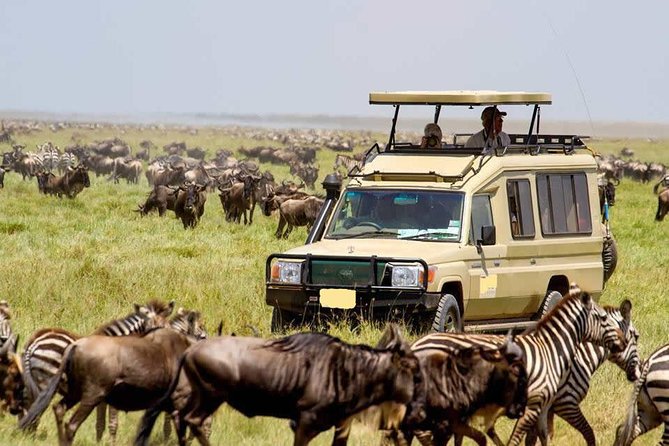 4 Day Masai Mara & Lake Nakuru Group Joining Camping Safari - Daily Departures - Day 1: From Nairobi to the Maasai Mara