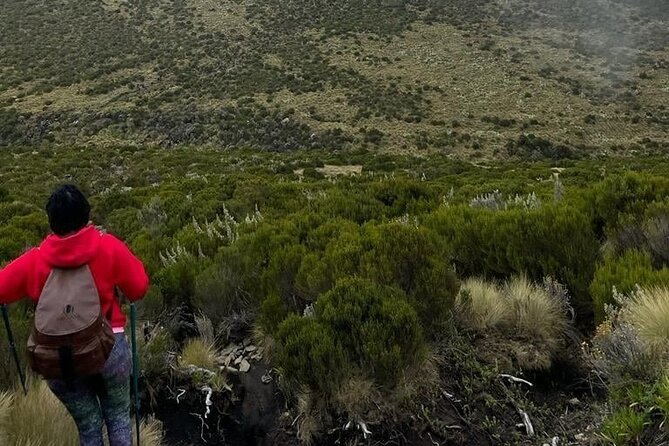 4-Day Mount Kenya Trekking with Pick Up - Is $941.18 good value?