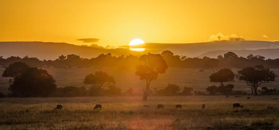 4 Days group safari in a safari van With no park fees - Day one: Nairobi, the Rift Valley, and the first Mara drive