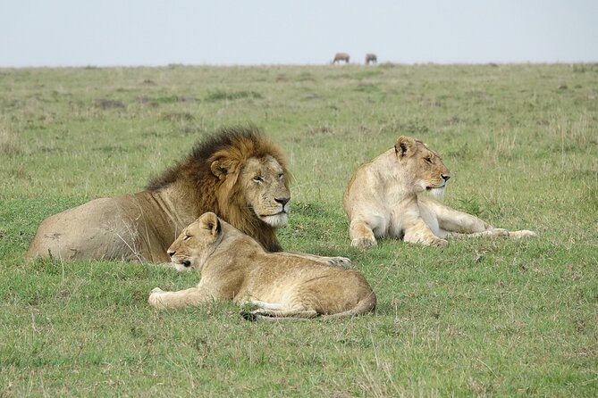 4 Days Landcruiser Safari to Masai Mara and Lake Nakuru - Why this four-day route works