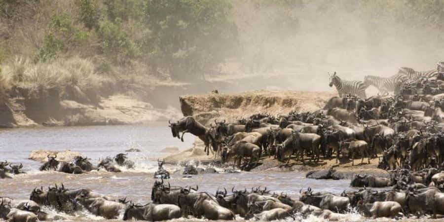 4 DAYS MAASAI MARA NATIONAL RESERVE GROUP SAFARI- 4WD - Key points to know before booking