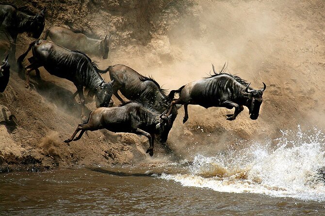4 Days Masai Mara and Lake Nakuru Budget Safari Meals included - Why this route works for a first Kenyan safari