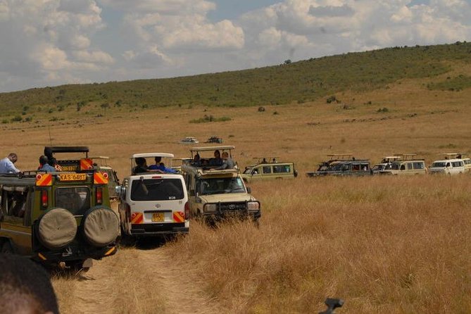 4 Days Masai Mara and Lake Nakuru Budget Safari Meals included - Day 4: Rhinos, giraffes, and Lake Nakuru’s birdlife