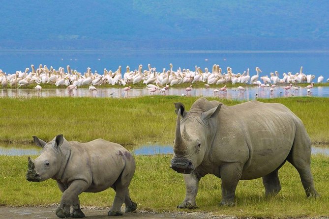 4 Days Masai Mara and Lake Nakuru Budget Safari Meals included - Meals, comfort, and the pace of the road