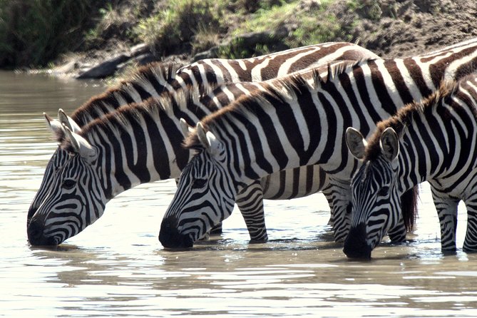 4 Days Masai Mara Camping Safari - Day Four: The Long Road Back to Nairobi