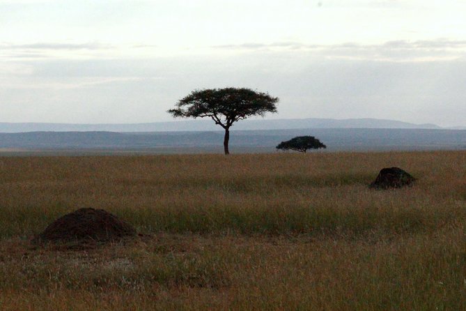 4 Days Masai Mara Camping Safari - What the $1,150 Price Covers