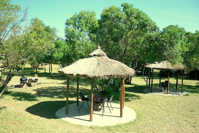 4 Days Masai Mara Camping Safari - Who Should Book This Safari