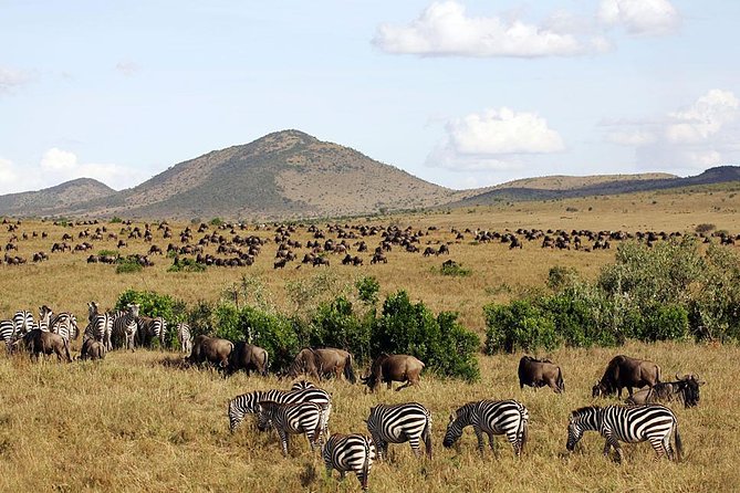 4 Days Masai Mara & Lake Nakuru Lodge Safari - Day four: flamingos, rhinos, and the return to Nairobi