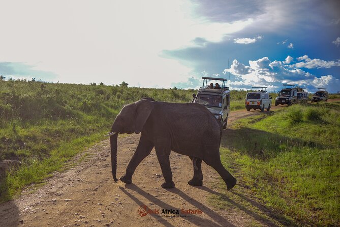 4 Days Safari Adventure Masai Mara and Nakuru Park Group - Why this four-day route works