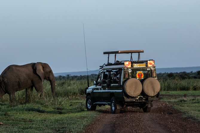4 Days Safari from Mombasa to Amboseli and Tsavo West and East - Key points to know before booking