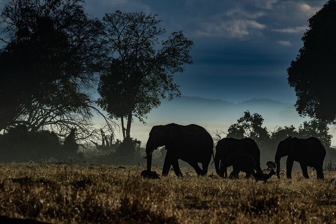 4 Days Safari from Mombasa to Amboseli and Tsavo West and East - Day one: Tsavo West and the rhino sanctuary