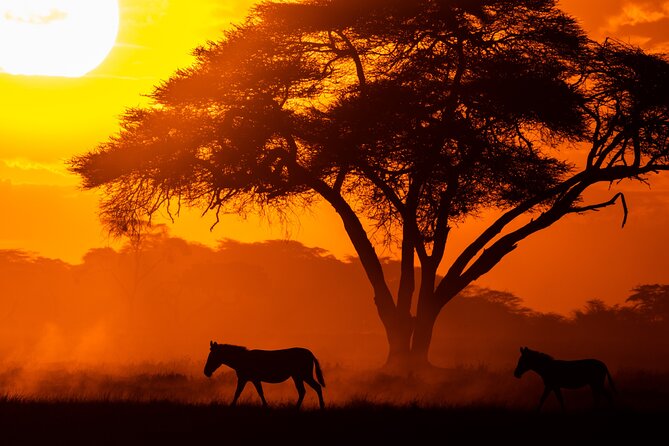 4 Days Safari from Mombasa to Amboseli and Tsavo West and East - What the private format changes