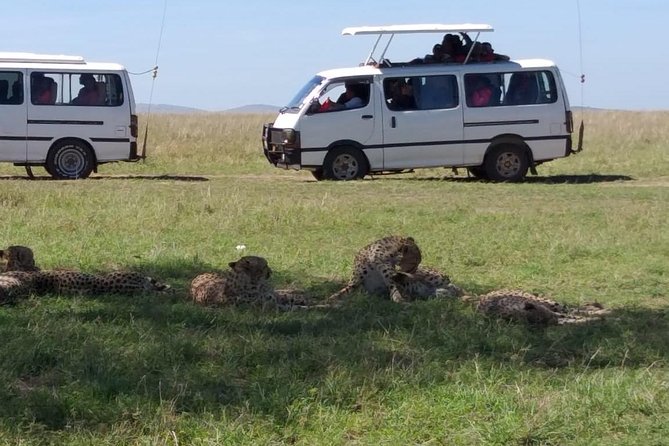 4 Days Small Group Maasai Mara and Lake Nakuru Safari - Small group promise, vehicle comfort, and guide quality