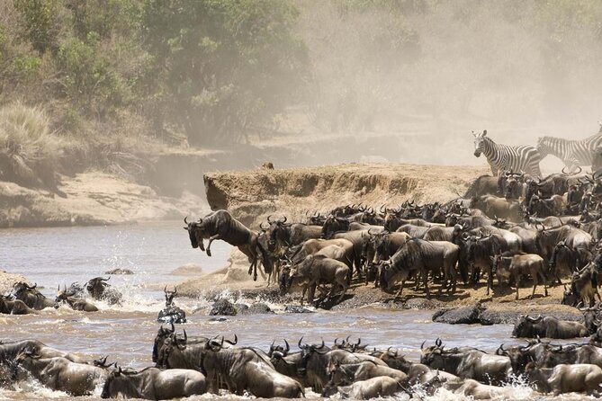 4 Days Tour Landcruiser in Masai Mara and Lake Nakuru - What $360 buys you, and what it does not