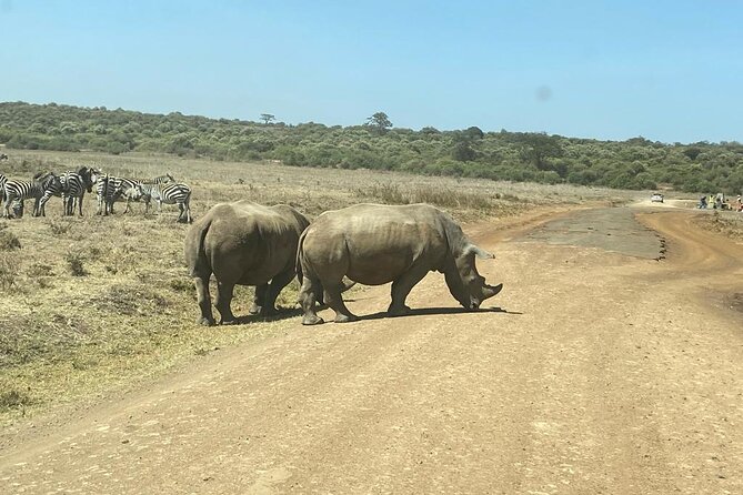 4 Days Tour Landcruiser in Masai Mara and Lake Nakuru - Lake Nakuru, flamingos, and a shorter wildlife window