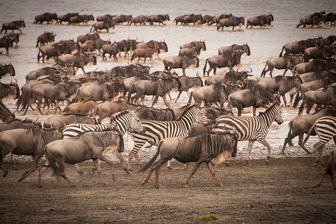 4 Days Tsavo West, Amboseli and Tsavo East National Park Safari - Day 2: Mzima Springs and the road to Amboseli